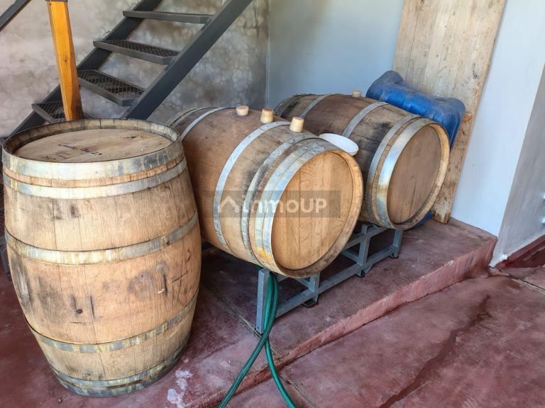 Finca en Venta en Tunuyan, Mendoza