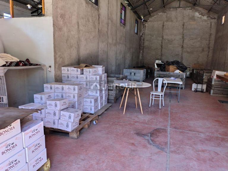 Finca en Venta en Tunuyan, Mendoza