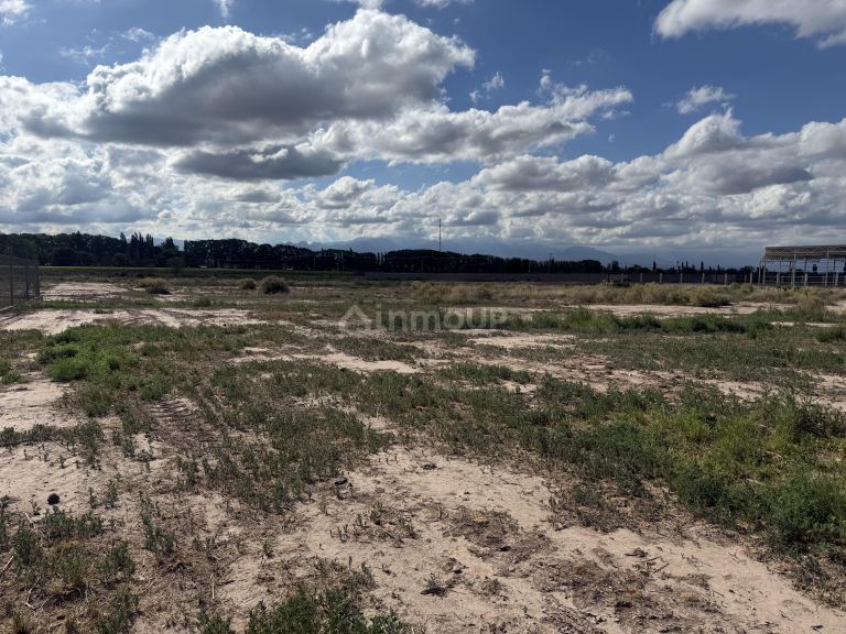 Terreno en Venta en Lujan de Cuyo, Mendoza