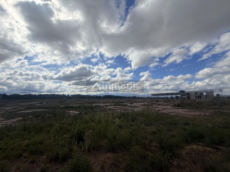 Terreno en Venta en Lujan de Cuyo, Mendoza