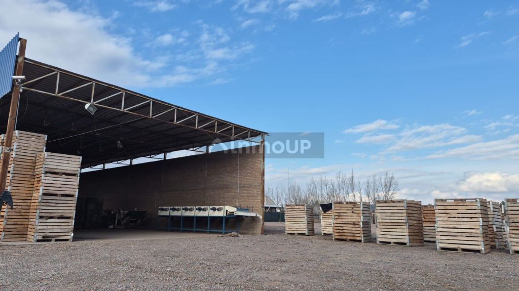 Galpon en Alquiler en Maipu, Mendoza