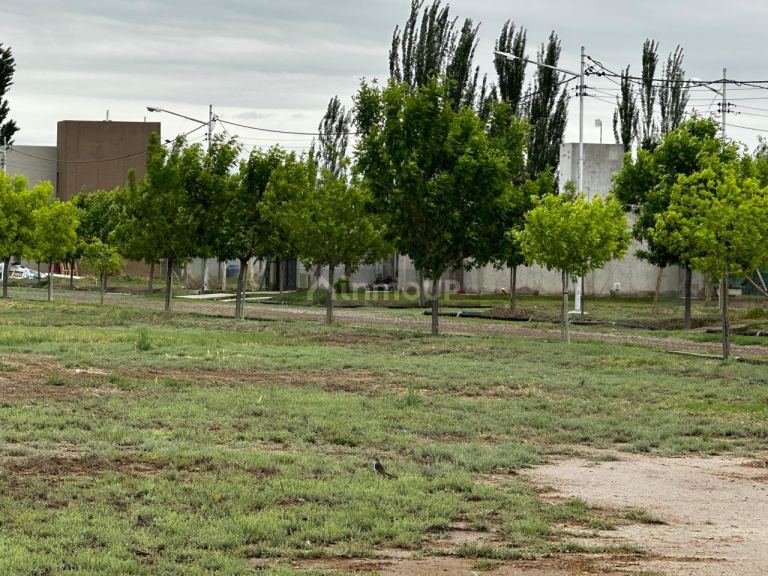Lote en Venta en Guaymallen, Mendoza