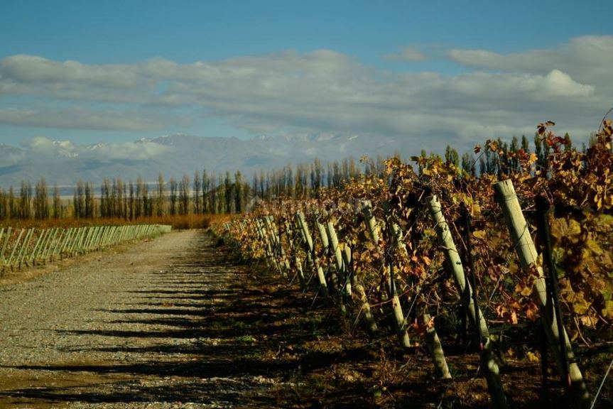 Lote en Venta en Tupungato, Mendoza