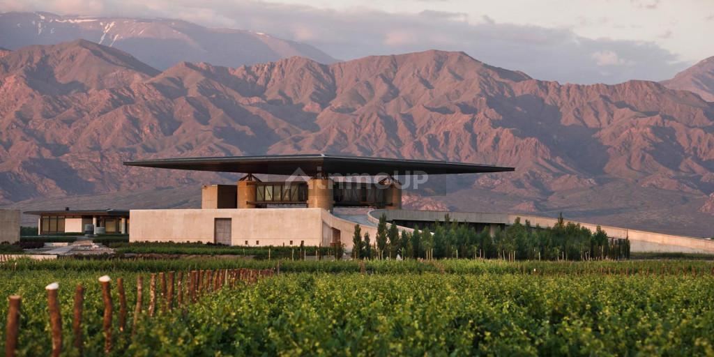 Lote en Venta en Tupungato, Mendoza