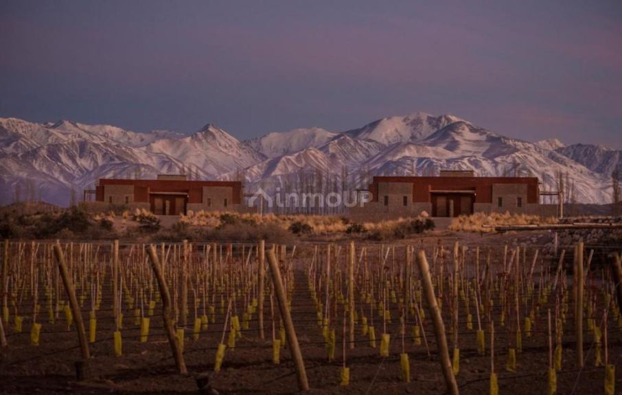 Lote en Venta en Tupungato, Mendoza