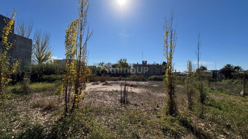 Lote en Venta en Lujan de Cuyo, Mendoza