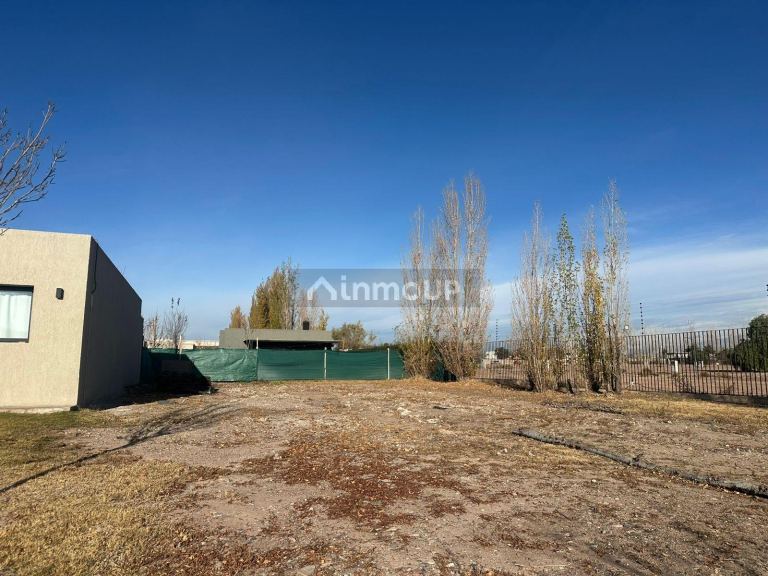 Lote en Venta en Lujan de Cuyo, Mendoza