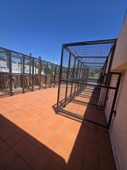 Departamento en Alquiler en Godoy Cruz, Mendoza