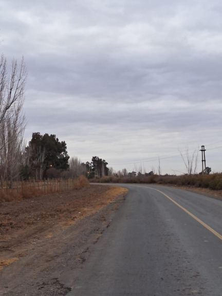 Finca en Venta en Lavalle, Mendoza