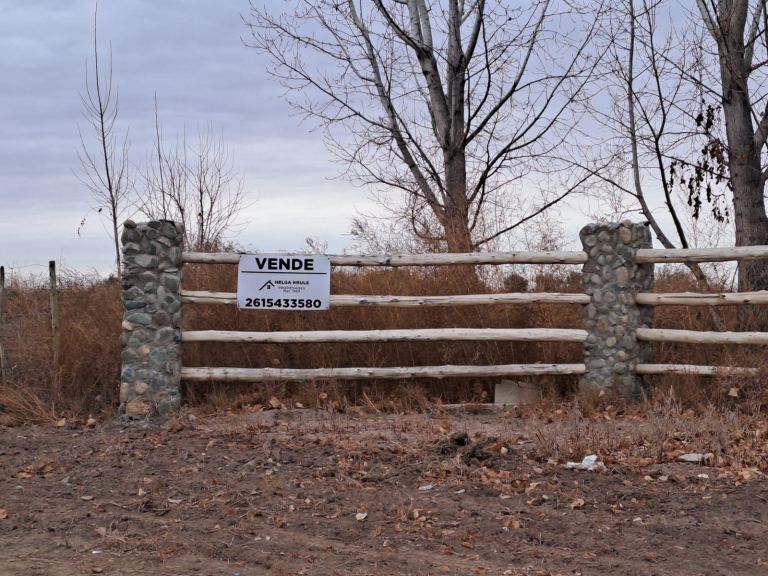 Finca en Venta en Lavalle, Mendoza