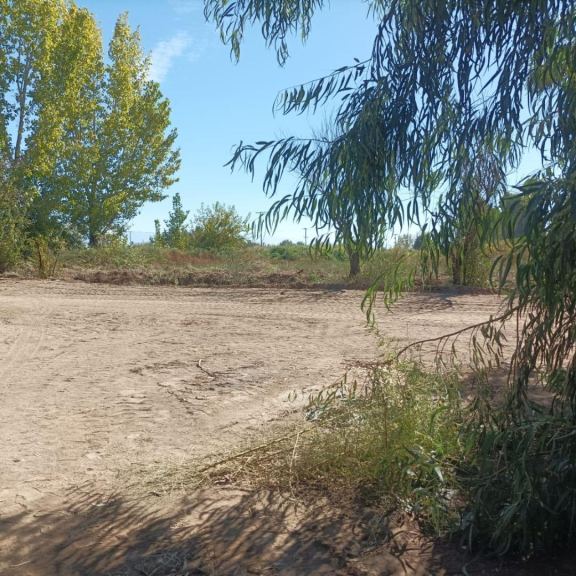 Finca en Venta en Lavalle, Mendoza