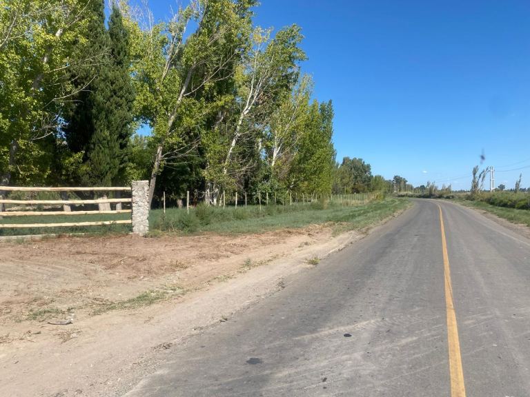 Finca en Venta en Lavalle, Mendoza