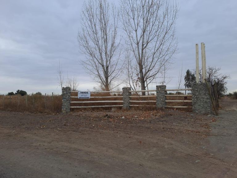 Finca en Venta en Lavalle, Mendoza