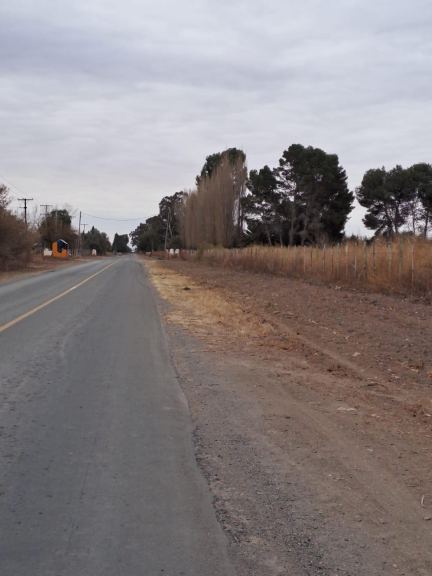 Finca en Venta en Lavalle, Mendoza