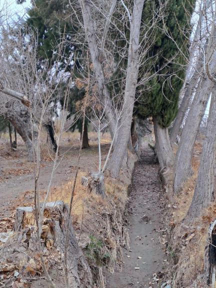 Finca en Venta en Lavalle, Mendoza