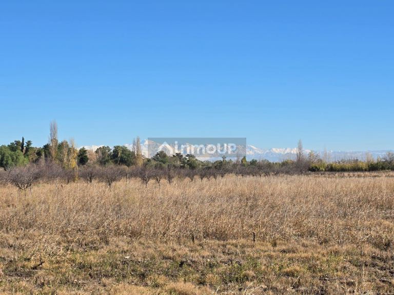 Terreno en Venta en San Martin, Mendoza