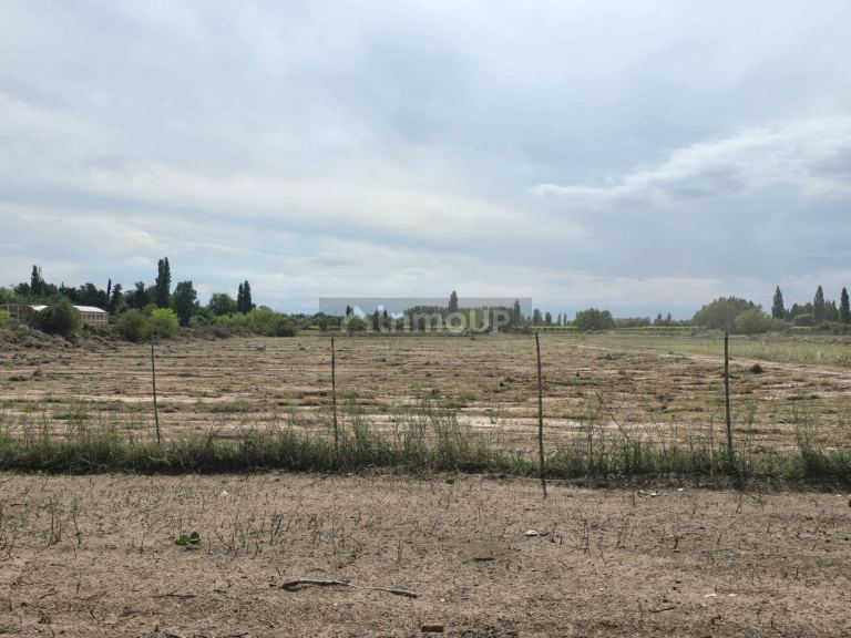 Terreno en Venta en San Martin, Mendoza