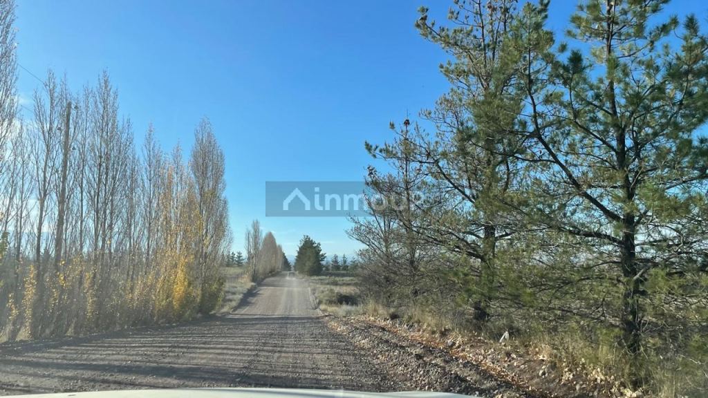 Finca en Venta en Lavalle, Mendoza
