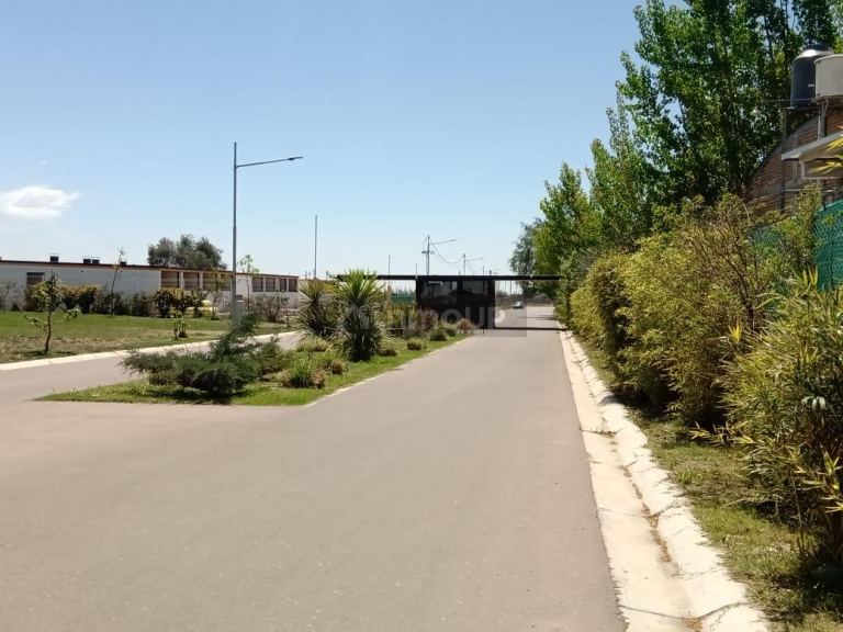 Lote en Venta en Lujan de Cuyo, Mendoza