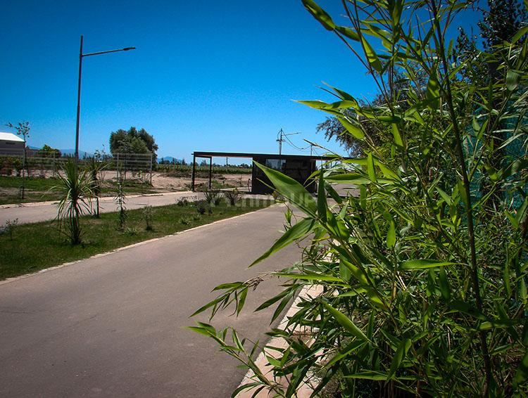 Lote en Venta en Lujan de Cuyo, Mendoza