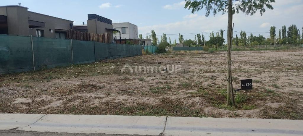 Lote en Venta en Lujan de Cuyo, Mendoza