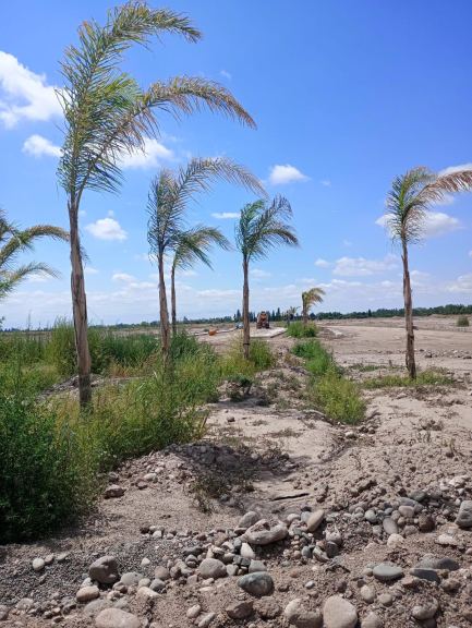 Lote en Venta en Maipu, Mendoza