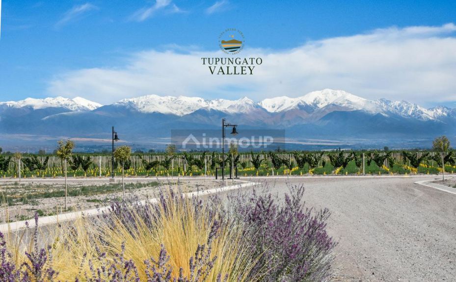 Lote en Venta en Tupungato, Mendoza