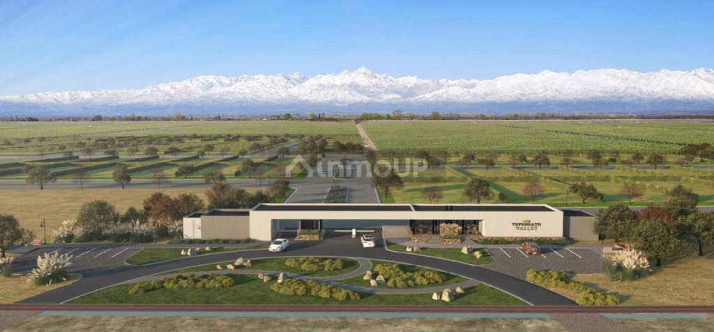 Lote en Venta en Tupungato, Mendoza