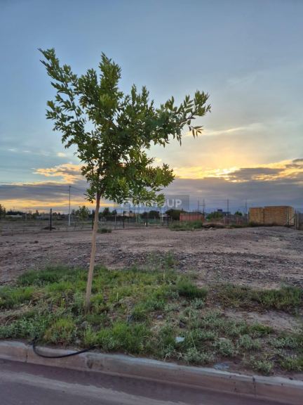 Lote en Venta en Maipu, Mendoza
