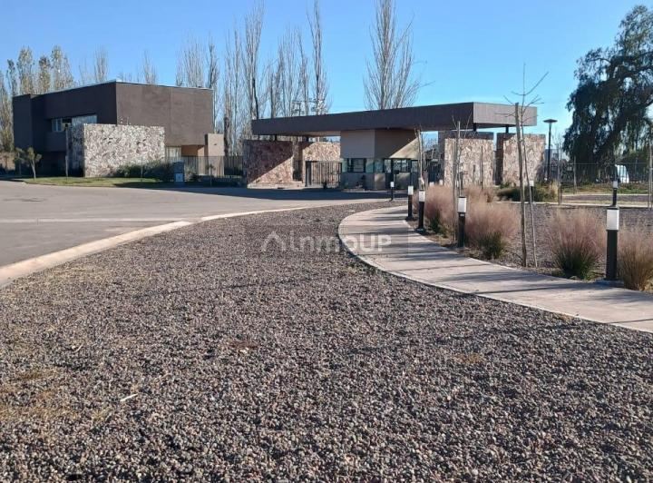 Lote en Venta en Lujan de Cuyo, Mendoza
