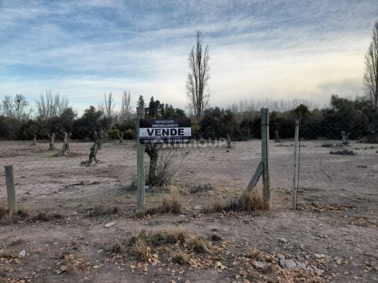 Terreno en Venta en Lujan de Cuyo, Mendoza