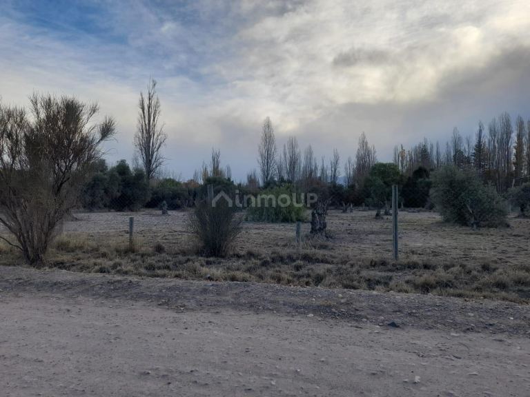 Terreno en Venta en Lujan de Cuyo, Mendoza