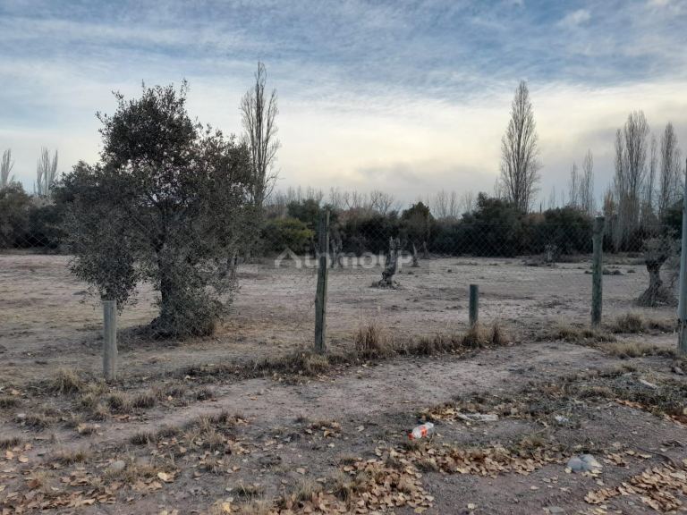 Terreno en Venta en Lujan de Cuyo, Mendoza
