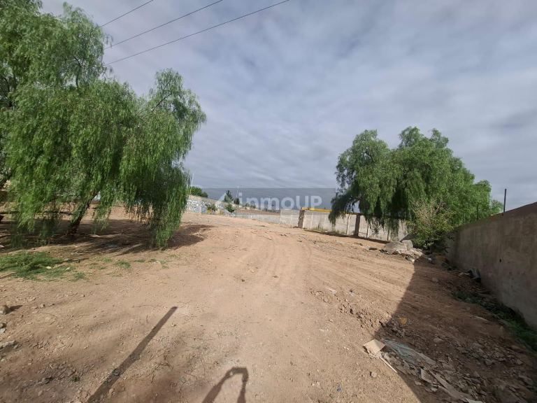 Lote en Alquiler en Lujan de Cuyo, Mendoza