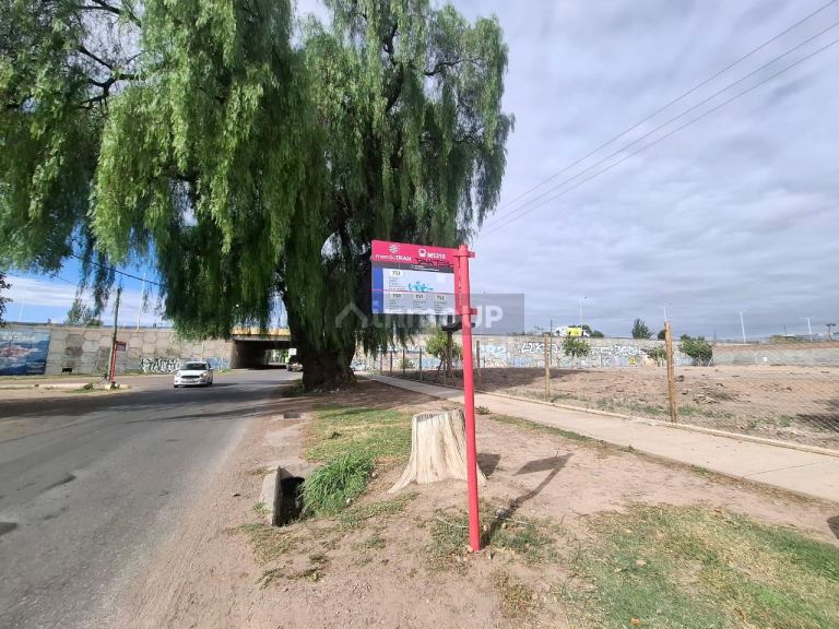 Lote en Alquiler en Lujan de Cuyo, Mendoza