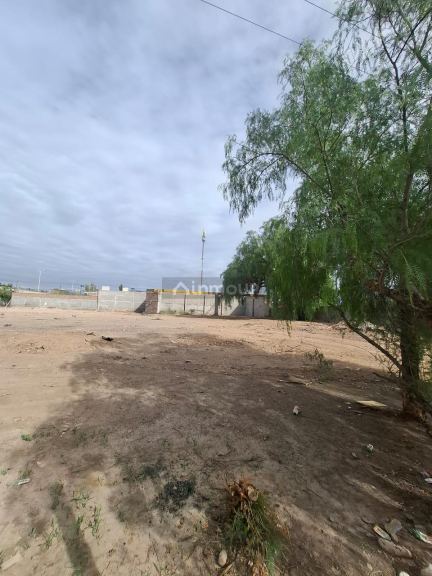 Lote en Alquiler en Lujan de Cuyo, Mendoza