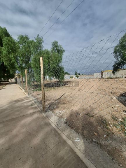 Lote en Alquiler en Lujan de Cuyo, Mendoza