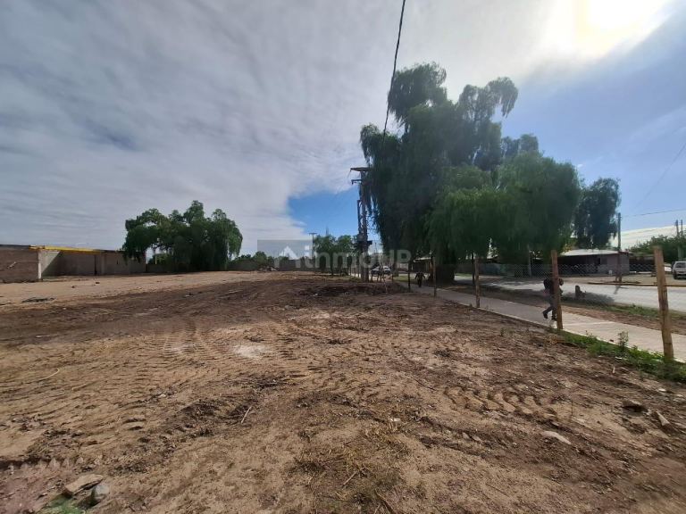 Lote en Alquiler en Lujan de Cuyo, Mendoza