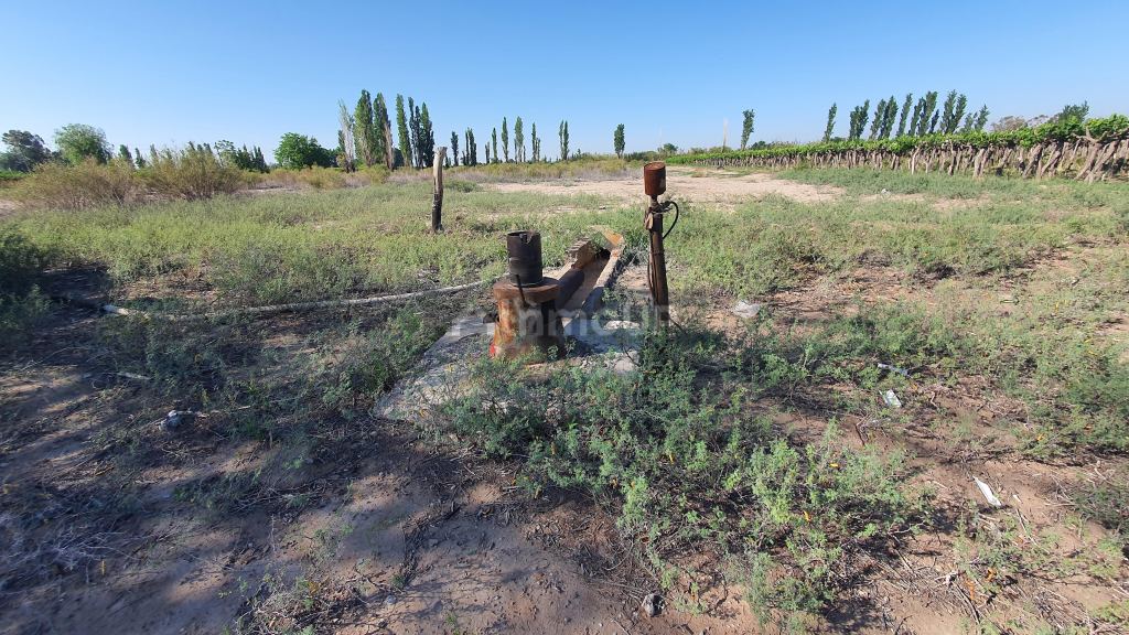 Finca en Venta en 9 de Julio, San Juan