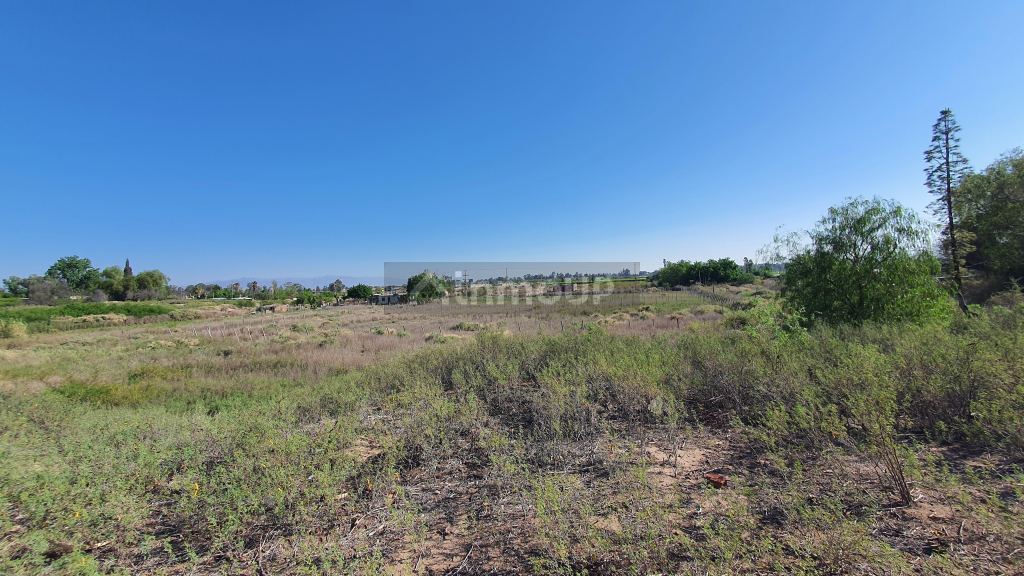 Finca en Venta en 9 de Julio, San Juan