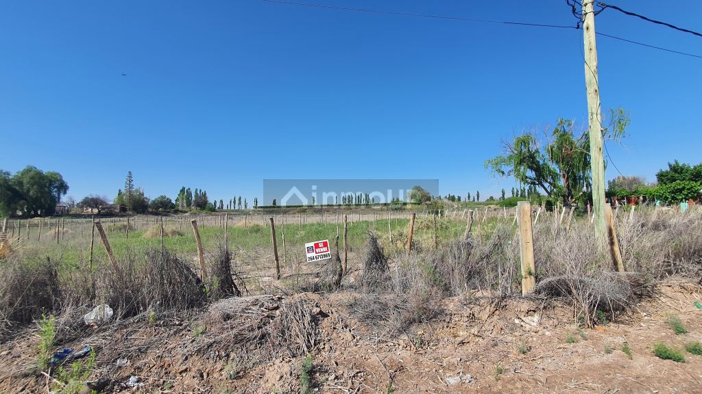 Finca en Venta en 9 de Julio, San Juan