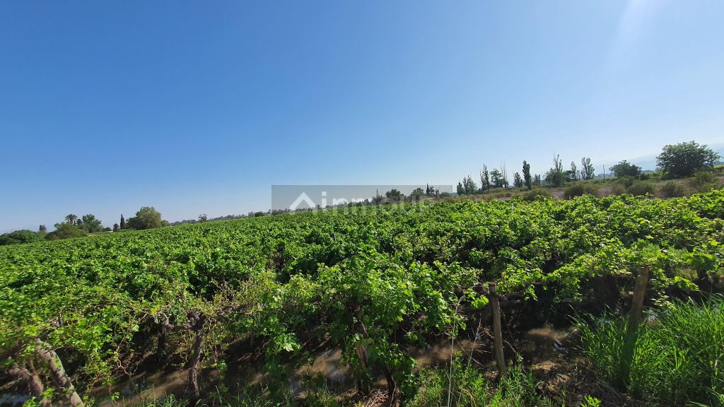 Finca en Venta en 9 de Julio, San Juan