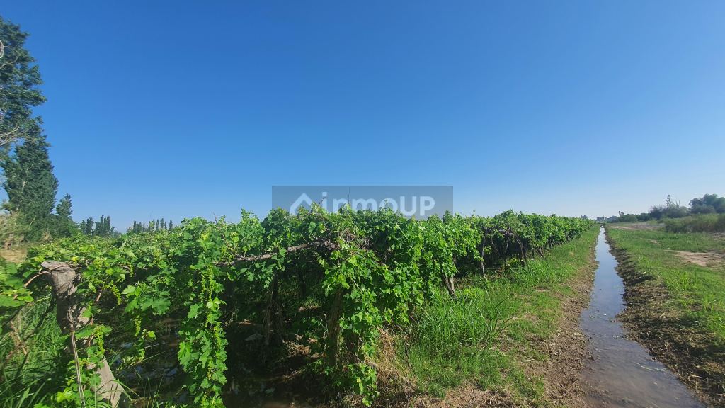 Finca en Venta en 9 de Julio, San Juan