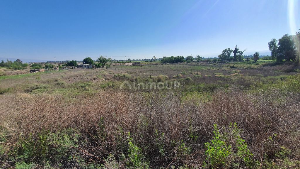 Finca en Venta en 9 de Julio, San Juan