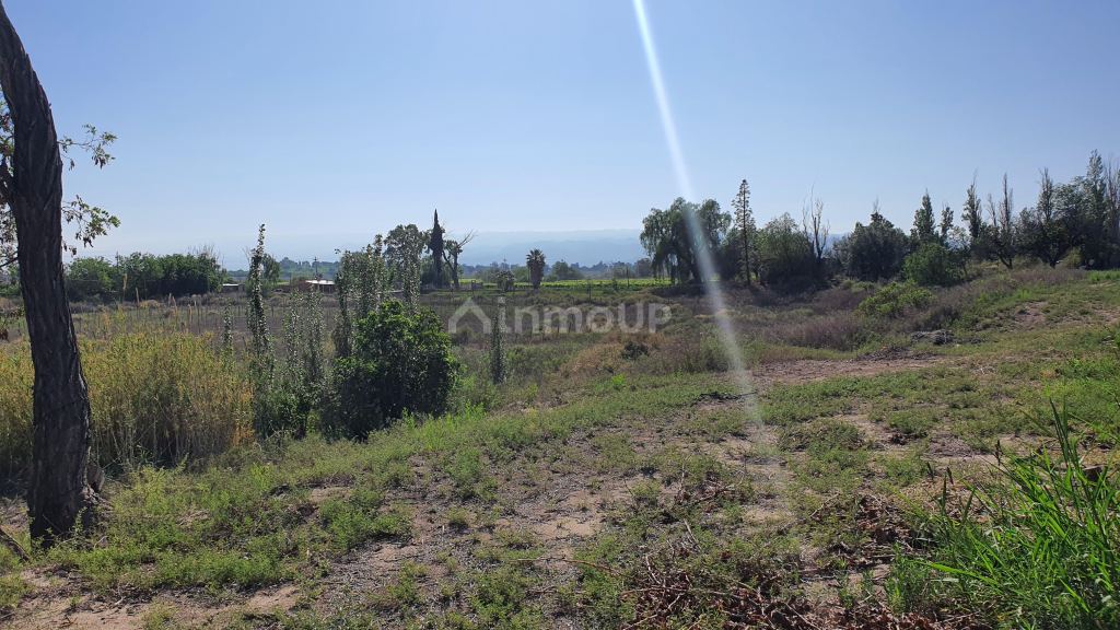 Finca en Venta en 9 de Julio, San Juan