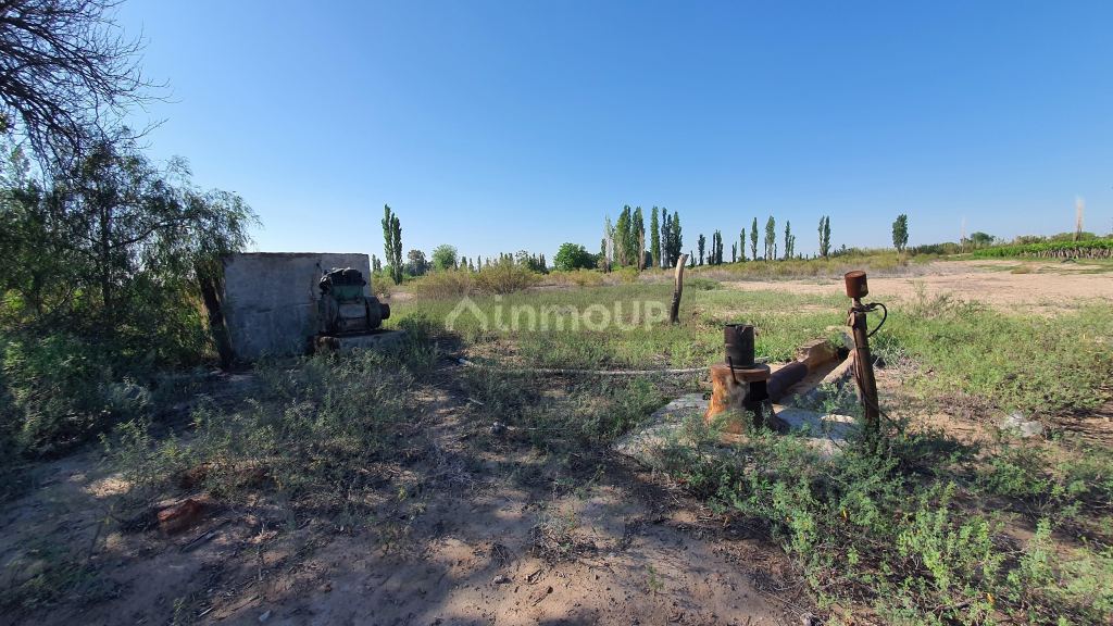 Finca en Venta en 9 de Julio, San Juan