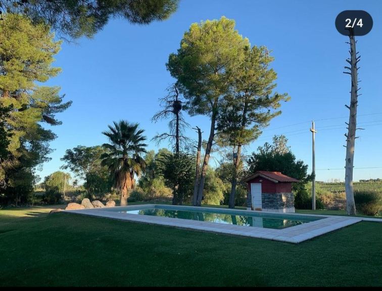 Campo en Venta en Lujan de Cuyo, Mendoza