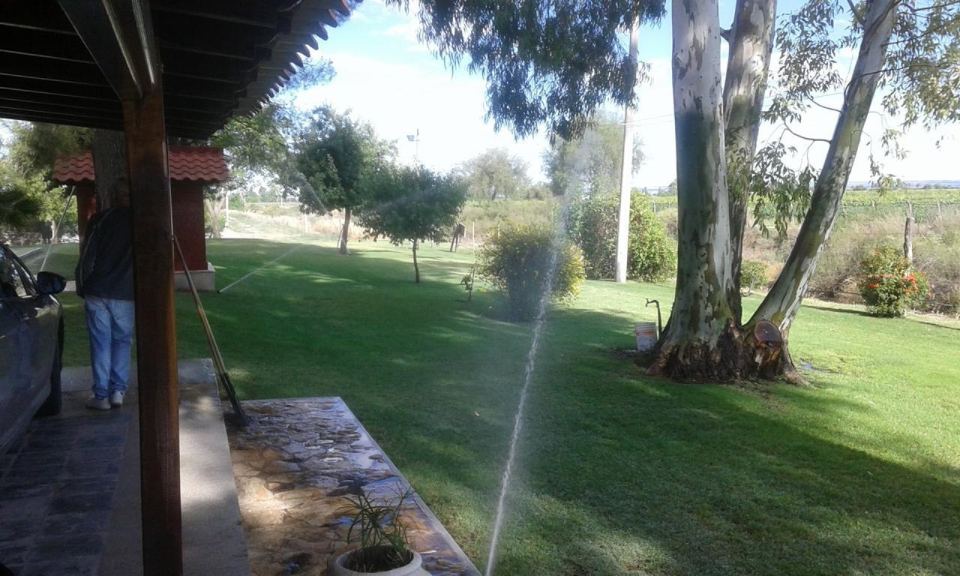 Campo en Venta en Lujan de Cuyo, Mendoza