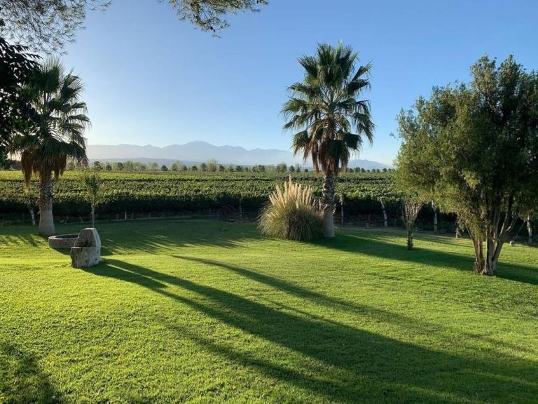 Campo en Venta en Lujan de Cuyo, Mendoza