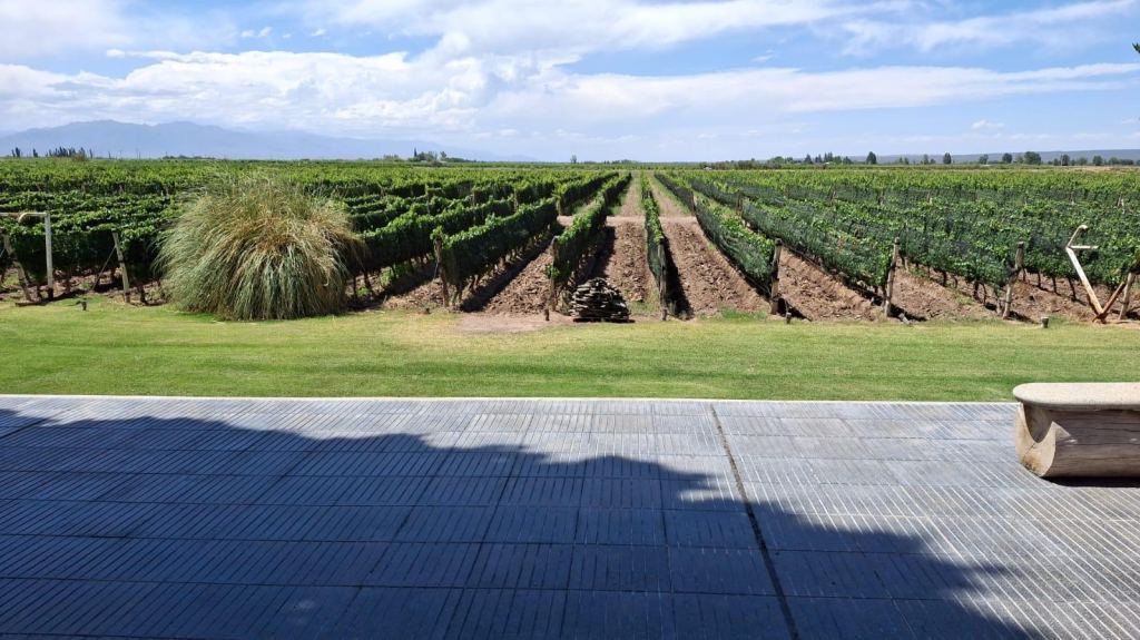 Campo en Venta en Lujan de Cuyo, Mendoza